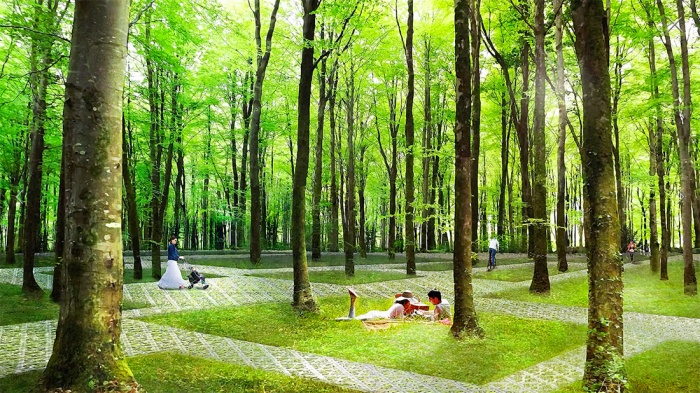 Türkiye’nin ilk Doğa Parkı! Istanbul’a “Central park” Projesi